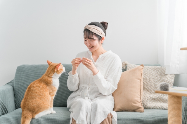 猫と女性の写真