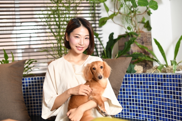 犬と女性の写真